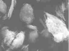 滑石粉+炭黑协同作用,可提高橡胶的各方面性能